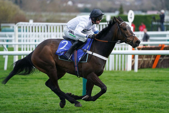 Rising Cheltenham hopes for Constitution Hill knocked by blood test results
