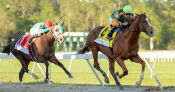 Road to the Kentucky Derby: Tampa Bay Derby