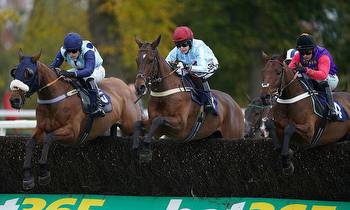Robin Goodfellow's racing tips: Best bets for Saturday, November 20