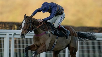 Robin Goodfellow's racing tips: Best bets for Saturday, November 25