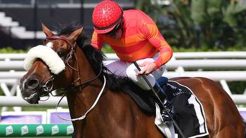 Rockhampton perfect starting point for Stradbroke contender