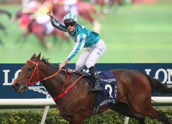 Romantic Warrior Stuns in Hong Kong Cup