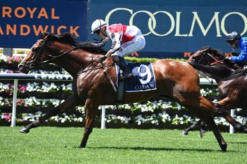 Rosehill a first step for O'Shea's gentle giant