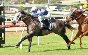 Rosehill Gold Cup homecoming for in-form Shibli