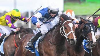 Rosehill races: Brad Davidson’s tips and extended preview