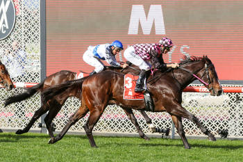Rothfire good to go in the G1 Moir Stakes