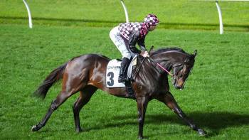 Rothfire heads full field for G1 Winterbottom Stakes at Ascot