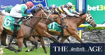 Roughie wins Geelong Cup but is unlikely to press for Melbourne Cup