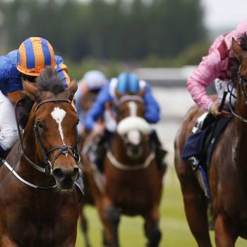 Royal Ascot 2015: Dates, Race Schedule, Odds, Live Stream Info and Preview
