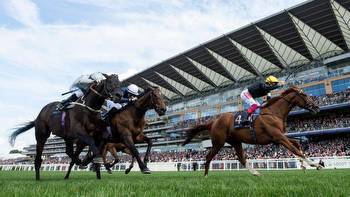 Royal Ascot 2021: the runners, the odds, the verdict for the Gold Cup