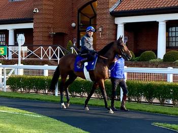 Royal Ascot ambitions as Godolphin stars Adayar and Native Trail light up the Rowley Mile