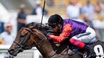Royal Ascot big bets: bookmaker facing £50,000 hit if Reach For The Moon wins