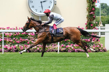 Royal Ascot Day 2 Picks & Handicapping for June 16