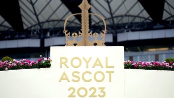 Royal Ascot day two tips: 10/1 Rogue Millennium can strike