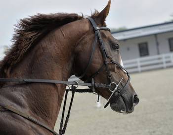 Royal Ascot Horse Racing Guide 2022