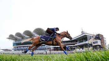 Royal Ascot priority as Slipofthepen skips 2000 Guineas at Newmarket