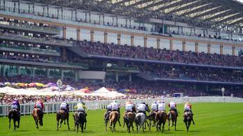 Royal Ascot: Sky Sports Racing's Kieran O'Sullivan looks at all 27 runners for Saturday's Platinum Jubilee Stakes
