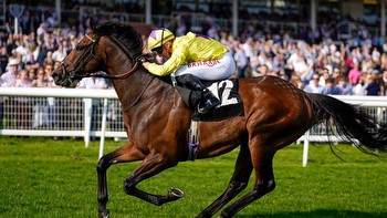 Royal Ascot tips 2023, day 2: The 7 best bets for Wednesday's race card and the latest odds