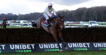 Royale Pagaille is tipped by Newsboy to win Saturday's Betfair Chase at Haydock