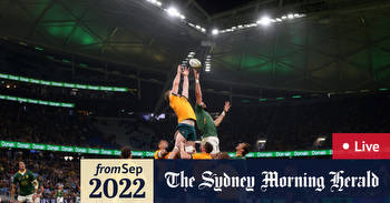 Rugby Championship LIVE updates: Wallabies v Springboks; All Blacks v Argentina scores, time, odds, how to watch