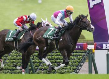 Rulership Colt Gives Rivals 'More' Than They Can Handle In Royal Cup