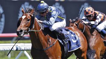 Rustic Steel to back-up in Five Diamonds after Big Dance victory