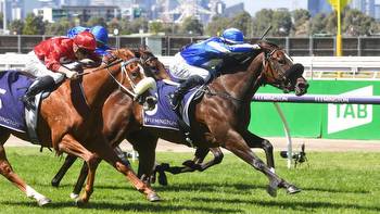 Ruthless Dame primed to end fillies' drought in Group 1 Coolmore Classic