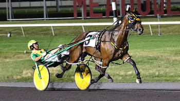 Ruthless Hanover matches Big M track record in Brower Memorial