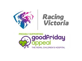 RV Auction Melbourne Cup Experience for Good Friday Appeal