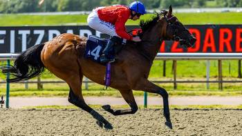 Sacred chasing York cash after bypassing Hungerford option; Sense Of Duty latest