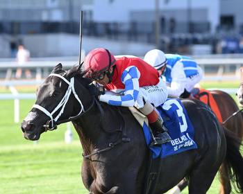Sacred Wish Shows Affinity for Turf in $135K Winter Memories
