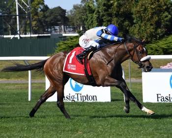 Sail By Takes on Loaded Field in Grade 3 Pebbles