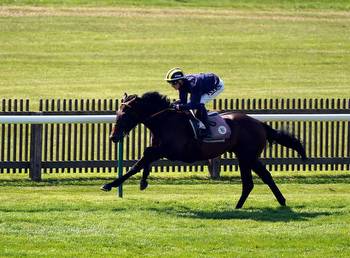 Sakheer bidding to be golden over a mile in Guineas