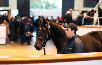 SALES: Critical week ahead for yearling market in Newmarket 07 October 2022 Free
