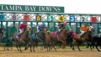 Sam F. Davis Stakes Predictions, Odds, Picks (Tampa Bay Downs)