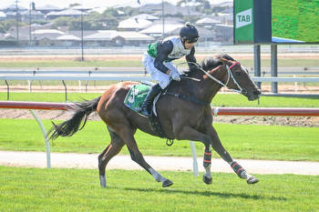 San Remo back for 'Bool attempt