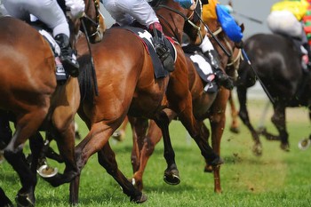 Sandringham Summit needs to set the record straight on Guineas Day