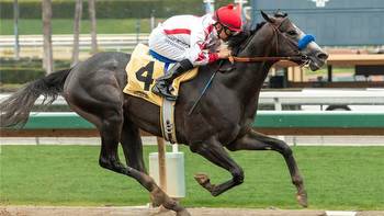 Santa Anita Derby: Roadster beats Game Winner