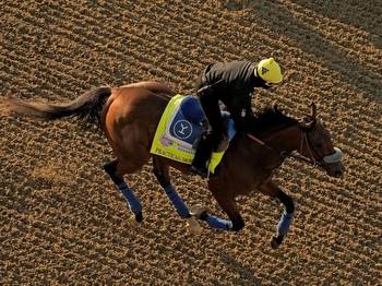 Santa Anita Derby Winner Dies After Workout Ahead of Breeders' Cup