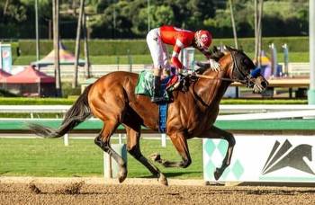 Santa Anita Derby winner Practical Move returns in good form