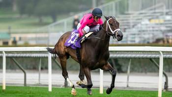 Santa Anita: How to bet the 2023 Gamely Stakes