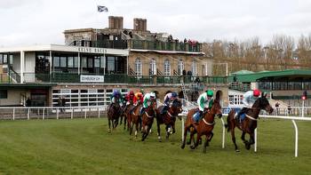 Saturday each-way racing tip: Trends analysis suggests Flower of Scotland can blossom at Kelso