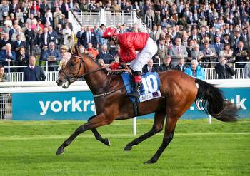Saturday Horse Racing Preview: Top Tips From Ascot, Newmarket And Redcar
