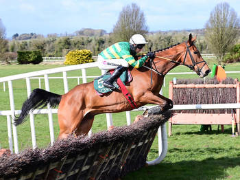 Saturday horse racing tips: Angus McNae's best bets at Navan