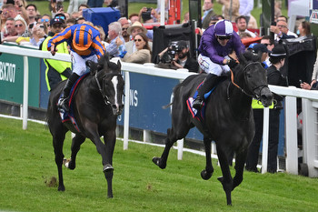 Saturday horse racing tips from Tom Lunn at Leopardstown, Haydock and Kempton