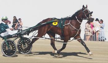 Saturday nights a great night for harness racing