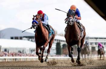Saturday Plays: Single these horses in Kentucky Derby preps