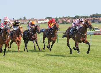 Saturday Racing Preview: Top Tips From Ayr And Newbury