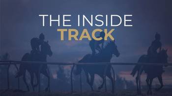 Saturday racing preview: What the trainers say