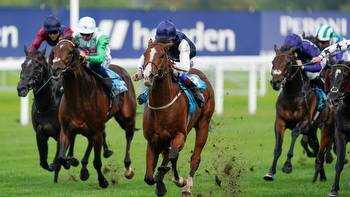 Saturday's selections at Newbury, Market Rasen and the Curragh